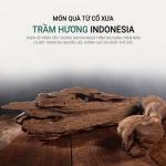 [Donguisam] Viên An Cung Trầm Hương Nhung Hươu Bổ Hoàn Khí Lực - Bí Quyết "Hồi Sinh" Năng Lượng Từ Hoàng Cung Hàn Quốc (Hộp 60 Viên)